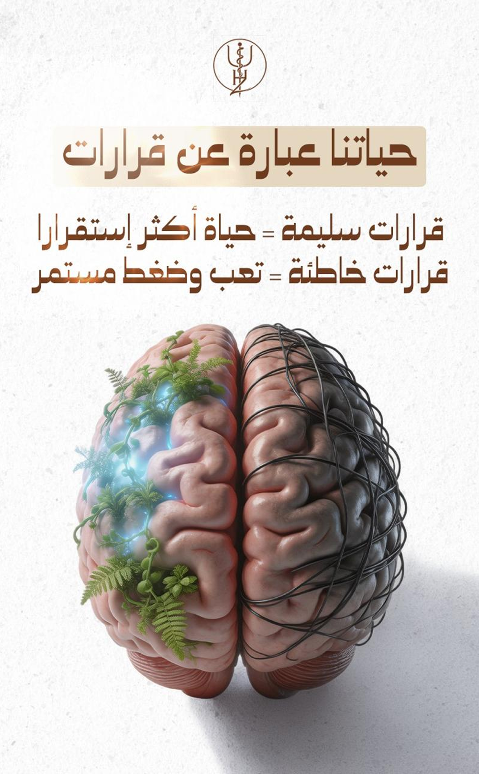 image-siteWeb (29)